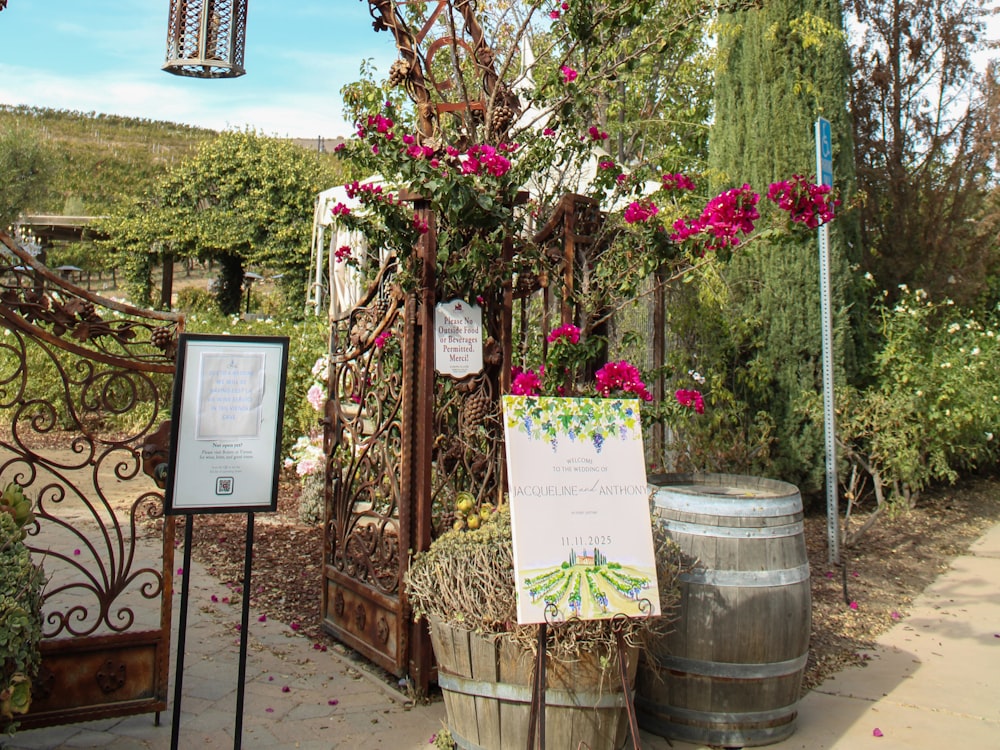 Portail fleuri de bougainvilliers et tonneaux