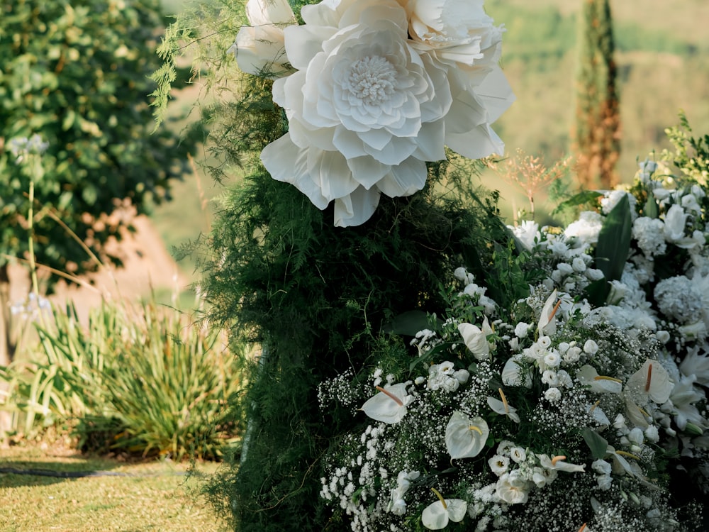Roses blanches en gros plan