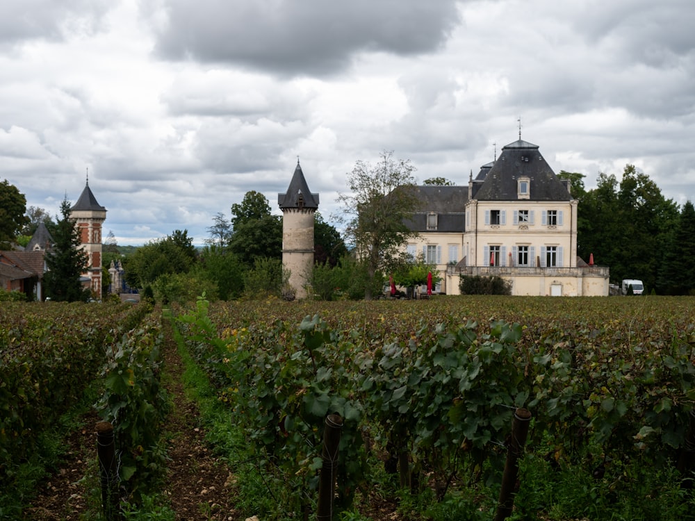 Château entouré de vignes